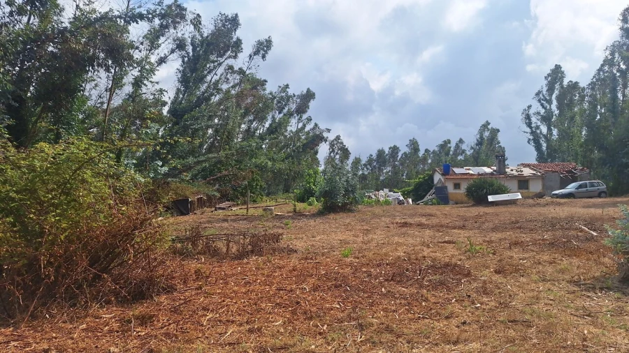 Terreno para Venda em Marrazes e Barosa Foto 9
