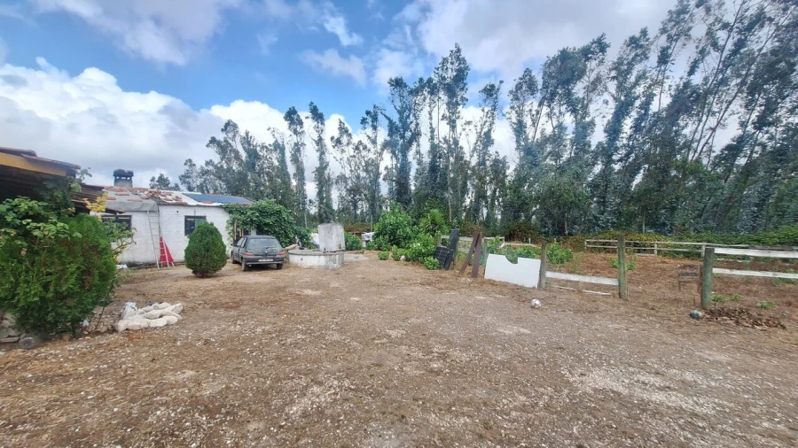 Terreno para Venda em Marrazes e Barosa Foto 14