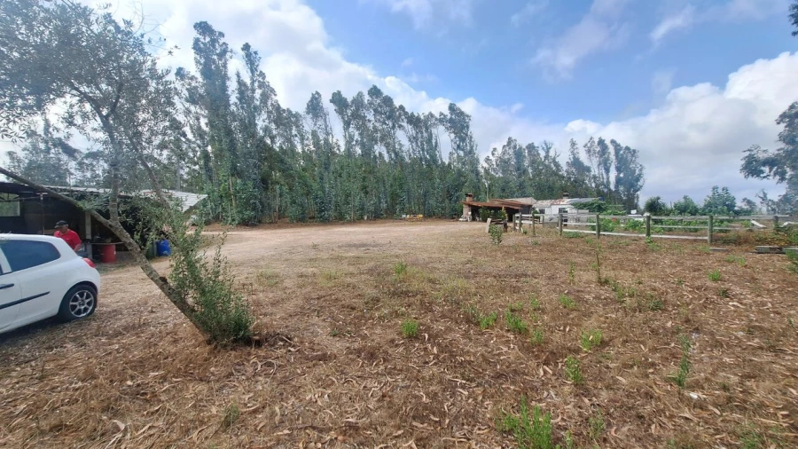 Terreno para Venda em Marrazes e Barosa Foto 16