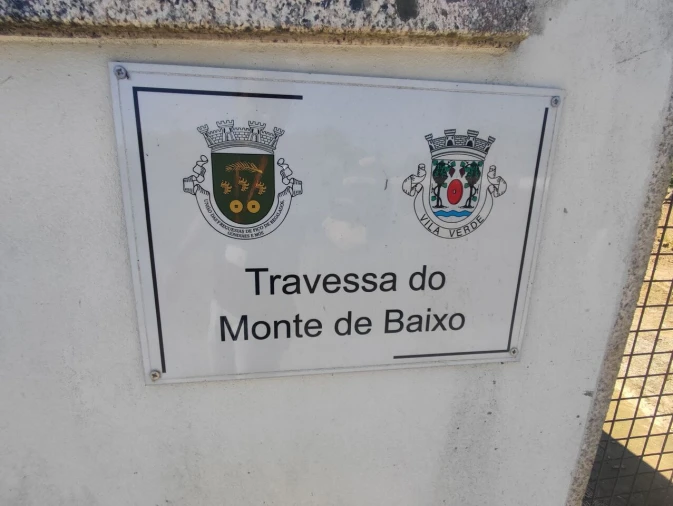 Terreno para Venda em Pico de Regalados, Gondiães e Mós Foto 4