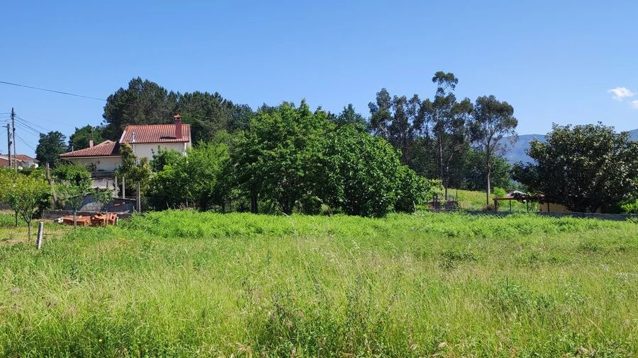 Terreno para Venda em Pico de Regalados, Gondiães e Mós
