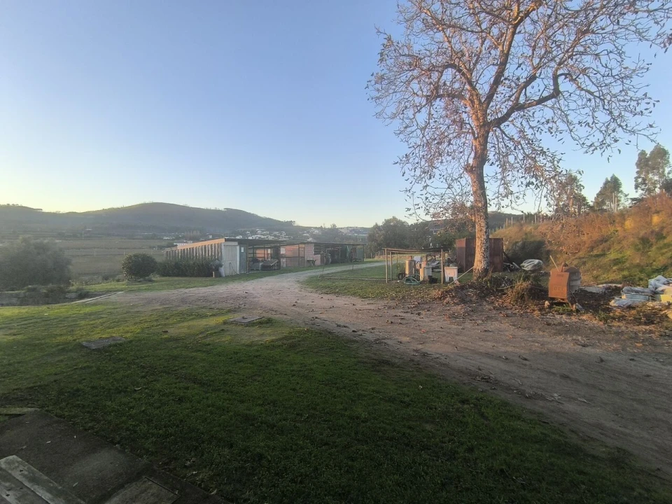 Quinta T5 para Venda em Cernadelo e Lousada (São Miguel e Santa Margarida) Foto 21