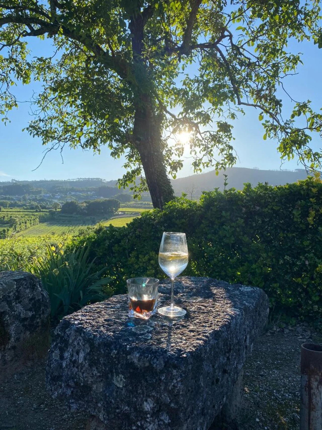 Quinta T5 para Venda em Cernadelo e Lousada (São Miguel e Santa Margarida) Foto 35