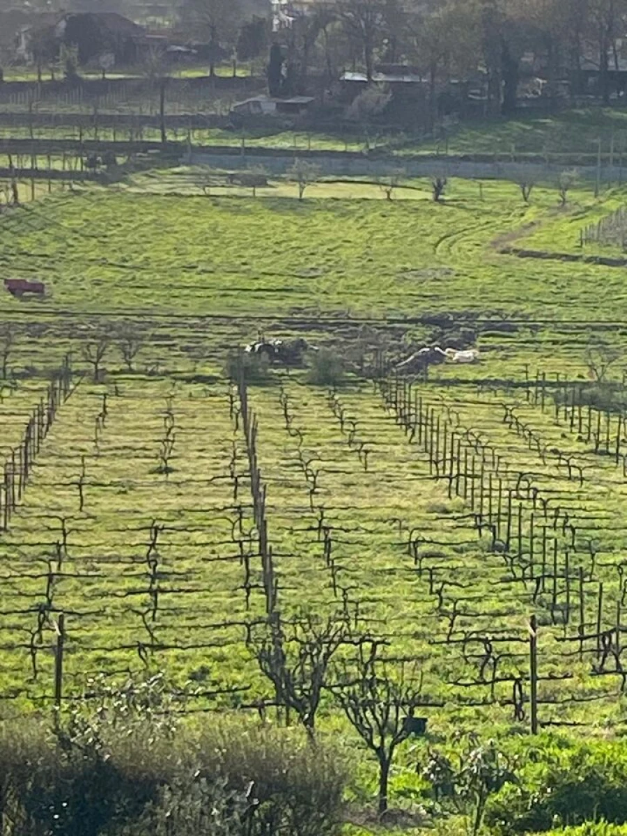 Quinta T5 para Venda em Cernadelo e Lousada (São Miguel e Santa Margarida) Foto 30