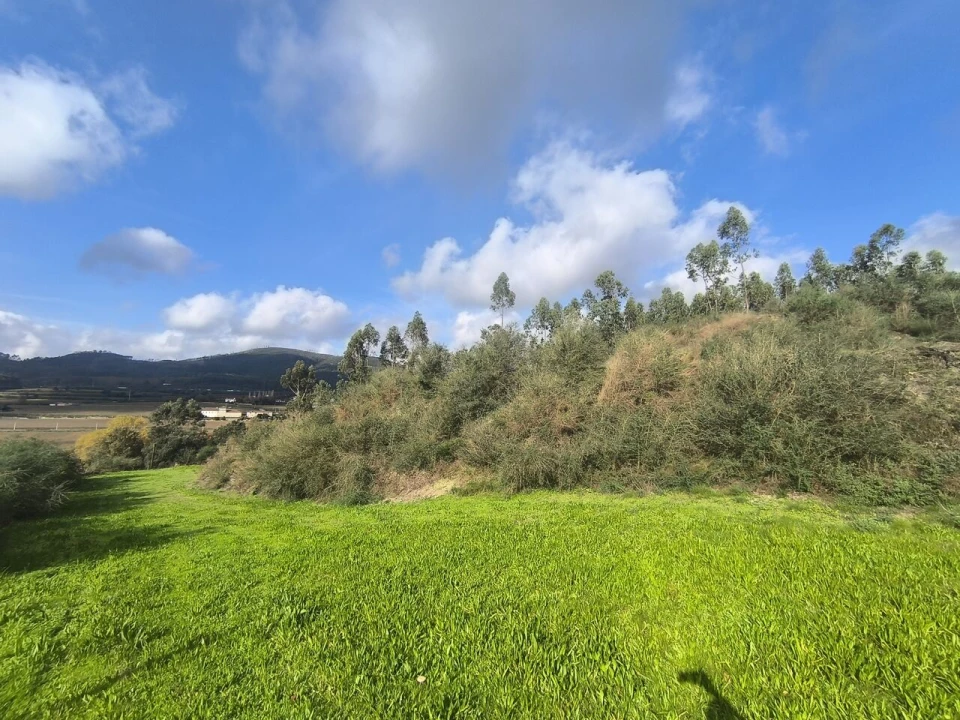 Terreno para Venda em Cernadelo e Lousada (São Miguel e Santa Margarida) Foto 2