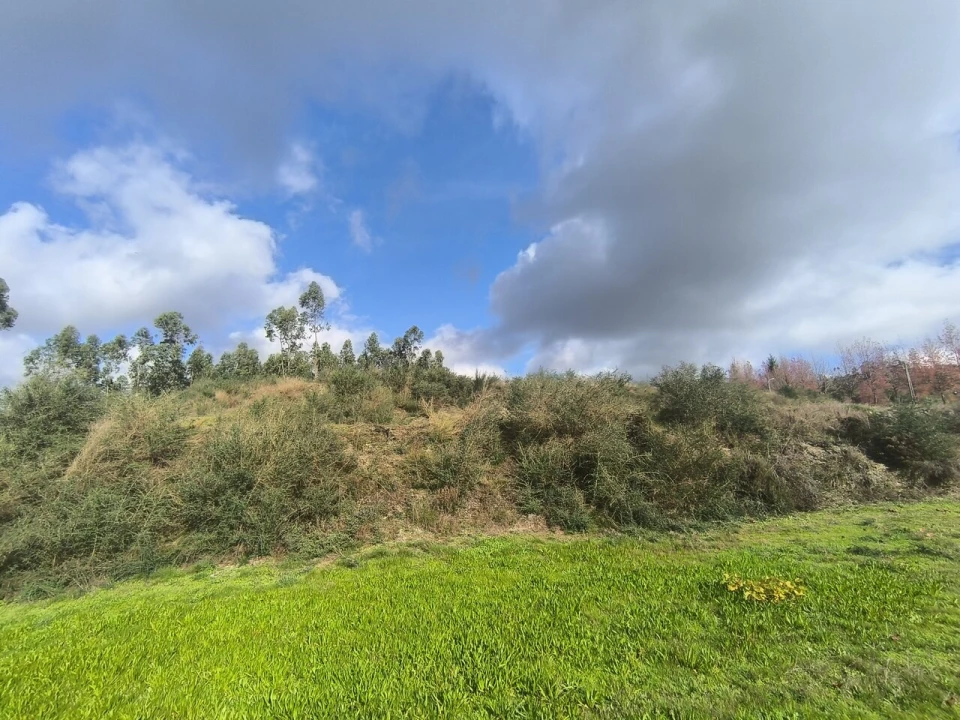 Terreno para Venda em Cernadelo e Lousada (São Miguel e Santa Margarida) Foto 10
