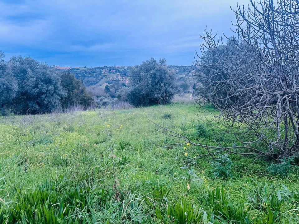Terreno para Venda em Brogueira, Parceiros de Igreja e Alcorochel Foto 1