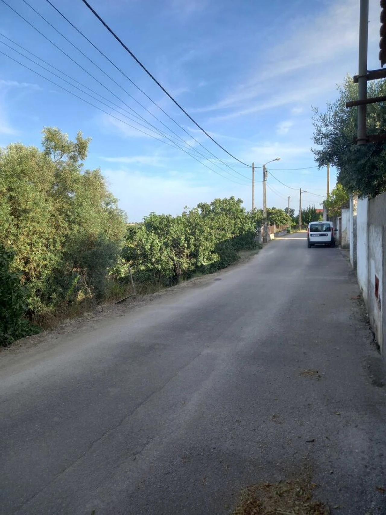 Terreno para Venda em Brogueira, Parceiros de Igreja e Alcorochel Foto 2