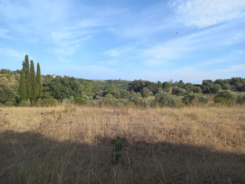 Terreno para Venda em Brogueira, Parceiros de Igreja e Alcorochel Foto 4
