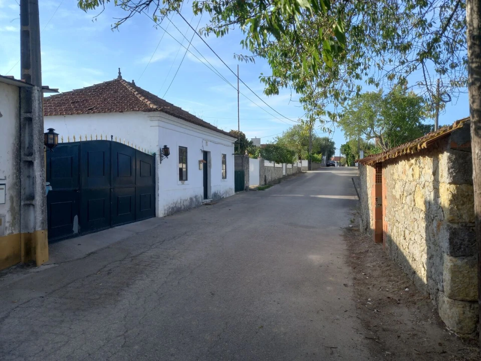 Terreno para Venda em Brogueira, Parceiros de Igreja e Alcorochel Foto 5