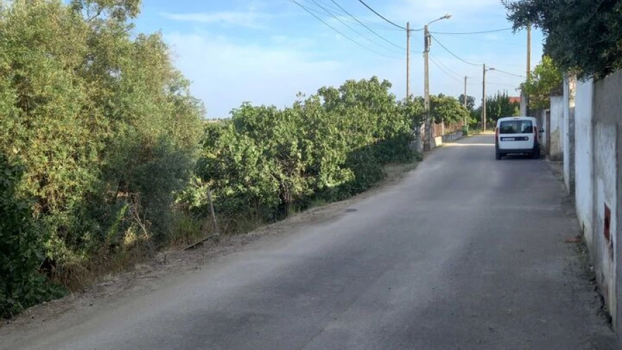 Terreno para Venda em Brogueira, Parceiros de Igreja e Alcorochel