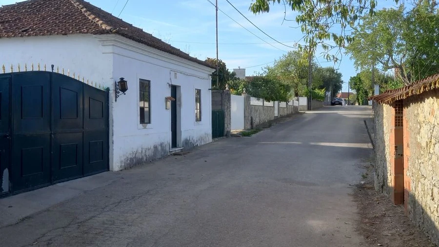 Terreno para Venda em Brogueira, Parceiros de Igreja e Alcorochel