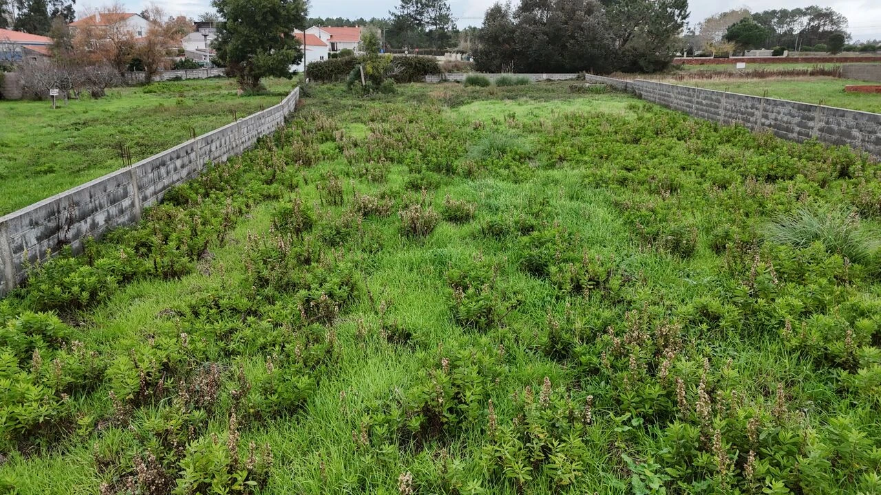 Terreno para Venda em Pataias e Martingança Foto 14