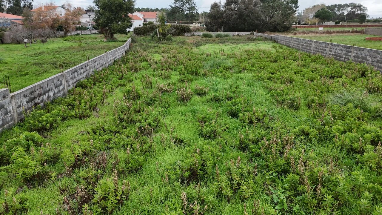 Terreno para Venda em Pataias e Martingança Foto 16