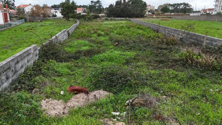 Terreno para Venda em Pataias e Martingança Foto 15