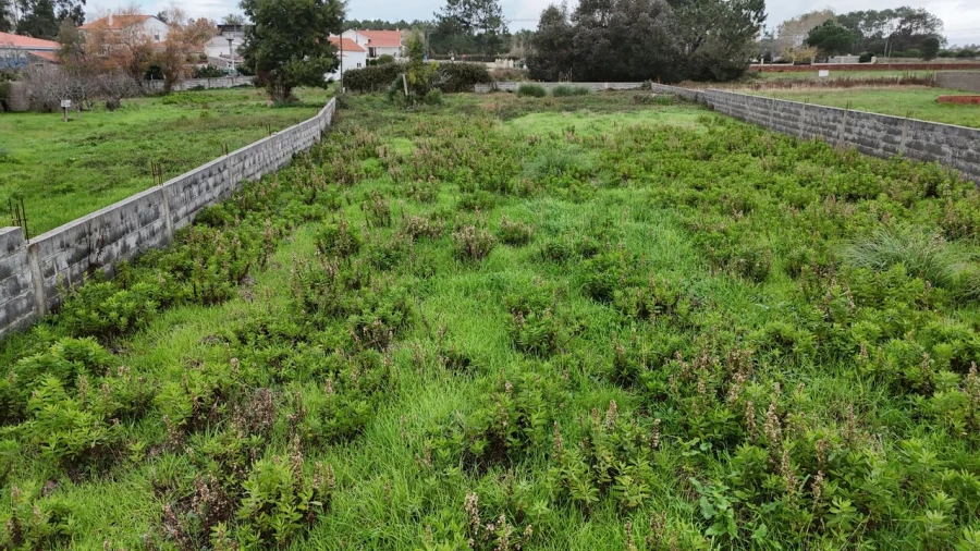 Terreno para Venda em Pataias e Martingança Foto 16
