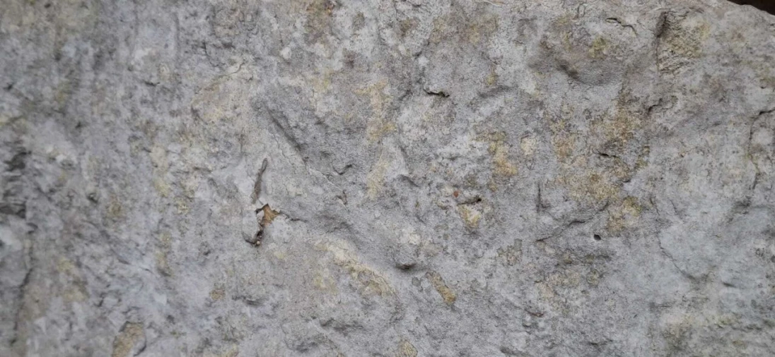 Moradia T4 para Venda em São Miguel, Santa Eufémia e Rabaçal Foto 30