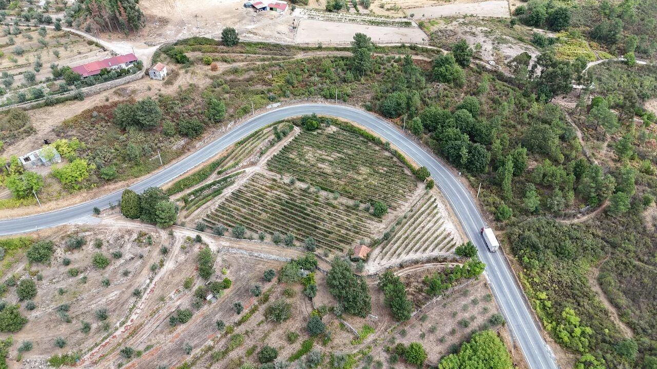 Quinta T2 para Venda em Santiago de Cassurrães e Póvoa de Cervães Foto 8