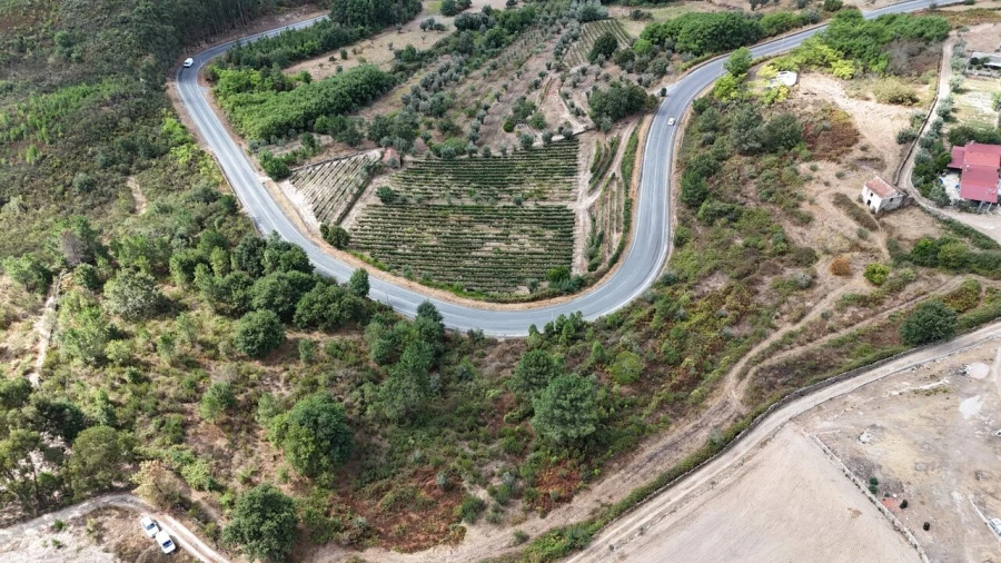 Quinta T2 para Venda em Santiago de Cassurrães e Póvoa de Cervães Foto 3