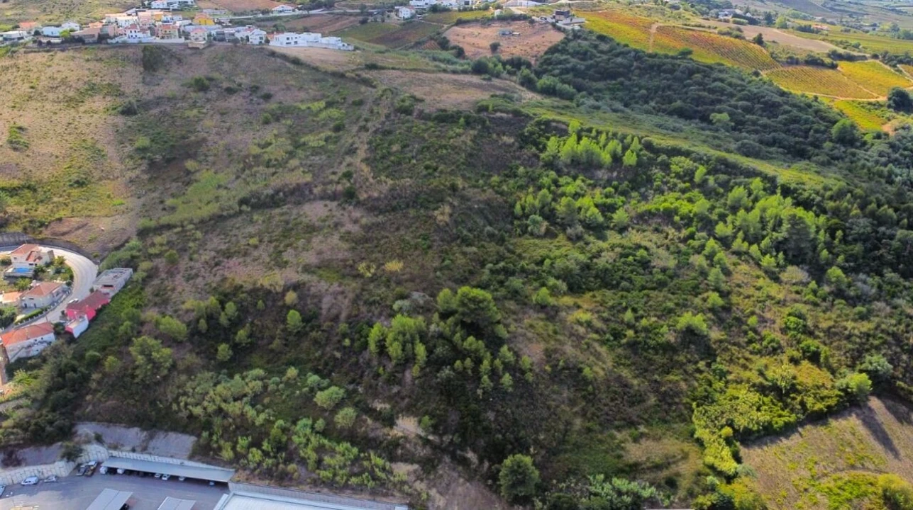 Terreno para Venda em Santa Maria, São Pedro e Matacães Foto 19
