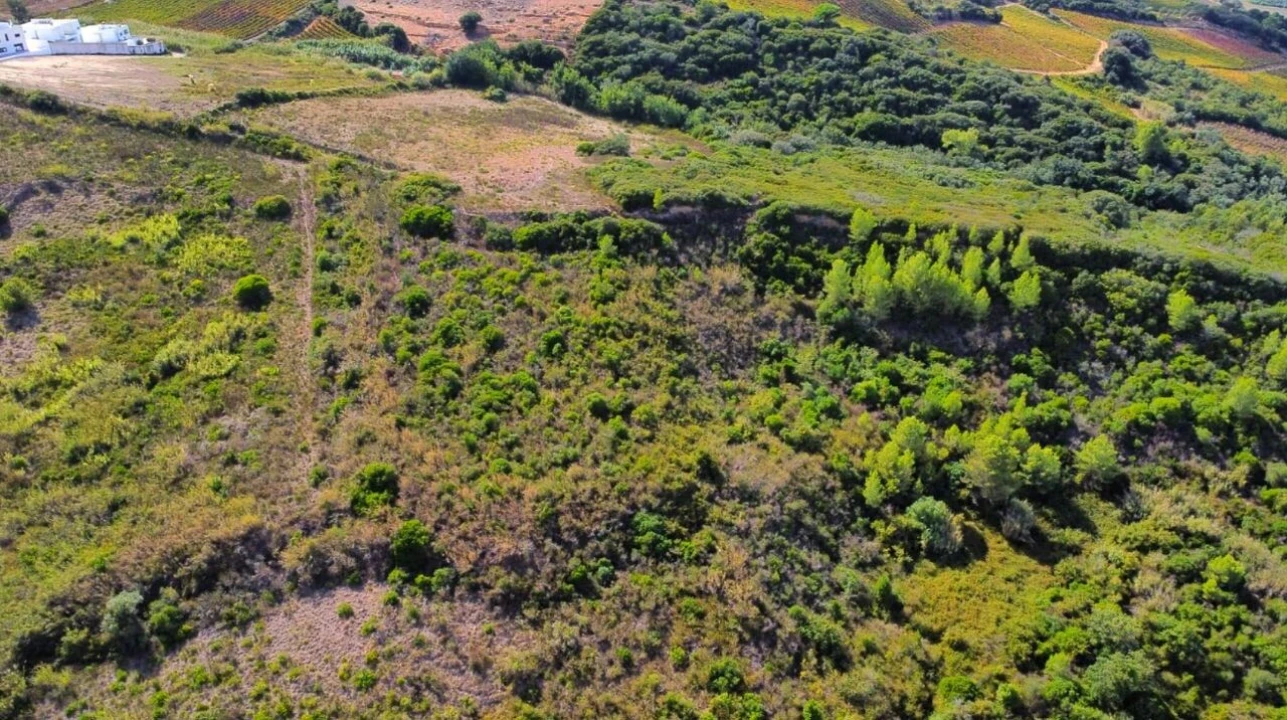 Terreno para Venda em Santa Maria, São Pedro e Matacães Foto 21