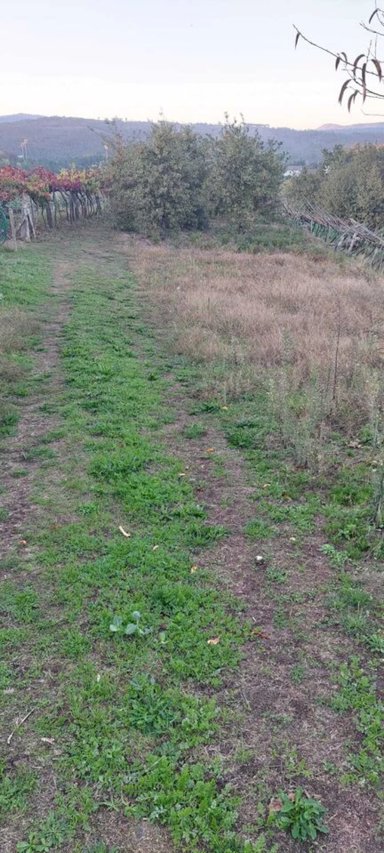 Moradia T2 para Venda em Vila e Roussas Foto 12