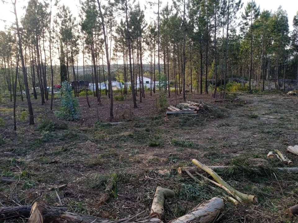 Terreno para Venda em Marrazes e Barosa Foto 5