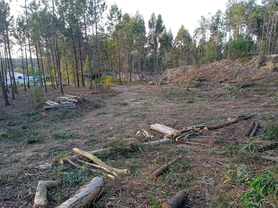 Terreno para Venda em Marrazes e Barosa Foto 6