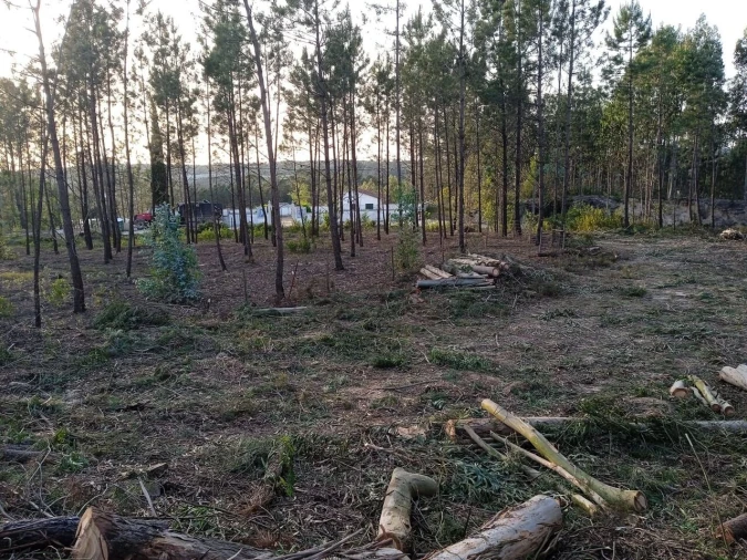 Terreno para Venda em Marrazes e Barosa Foto 5