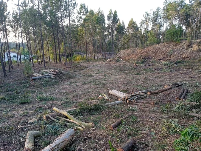 Terreno para Venda em Marrazes e Barosa Foto 6