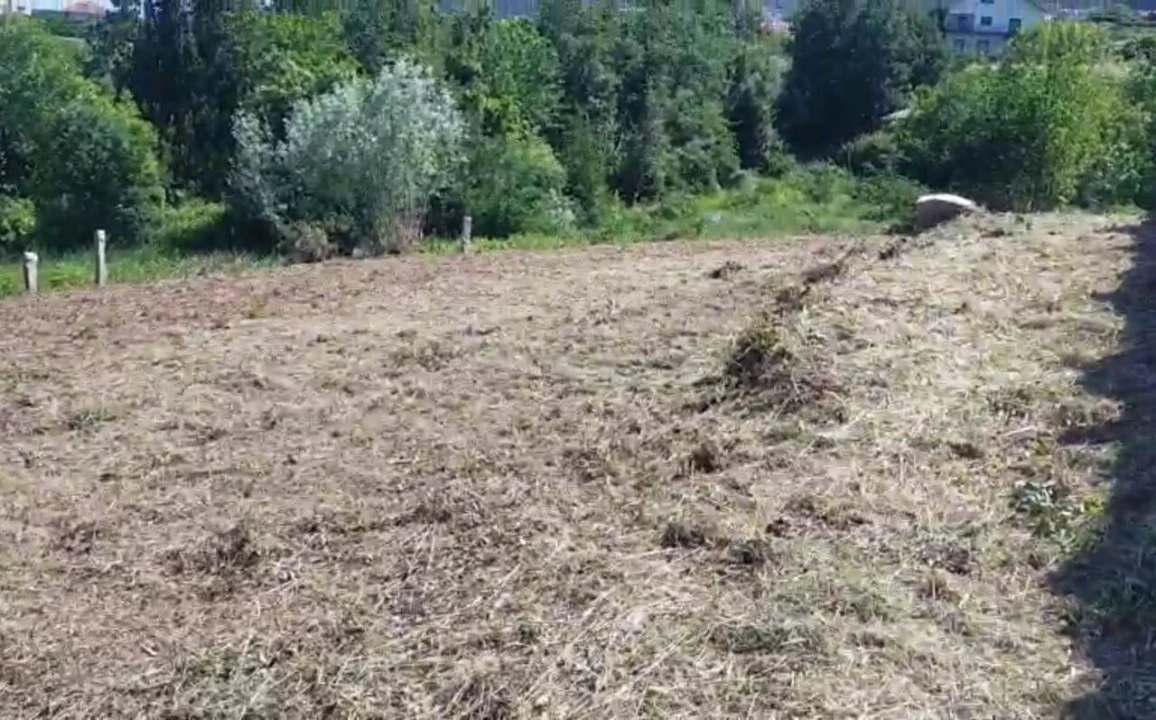 Terreno para Venda em Prado e Remoães Foto 3