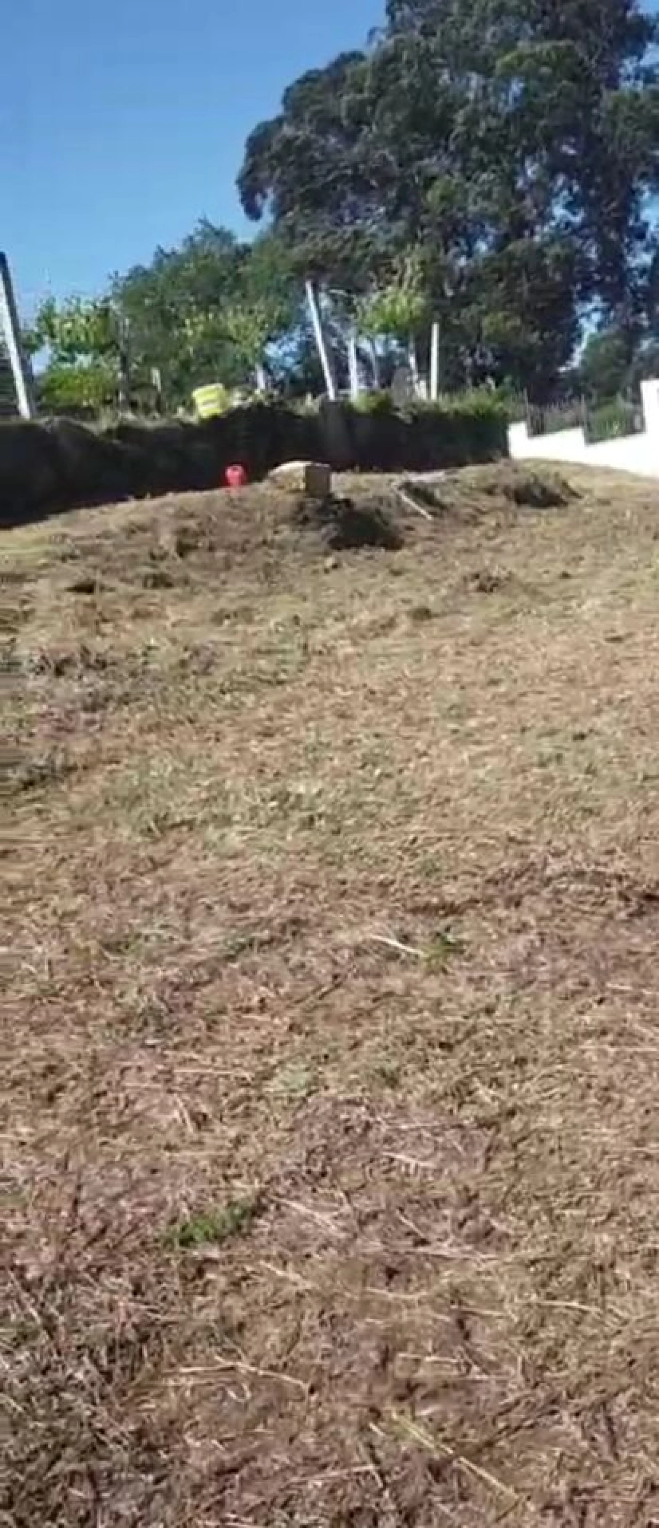 Terreno para Venda em Prado e Remoães Foto 4