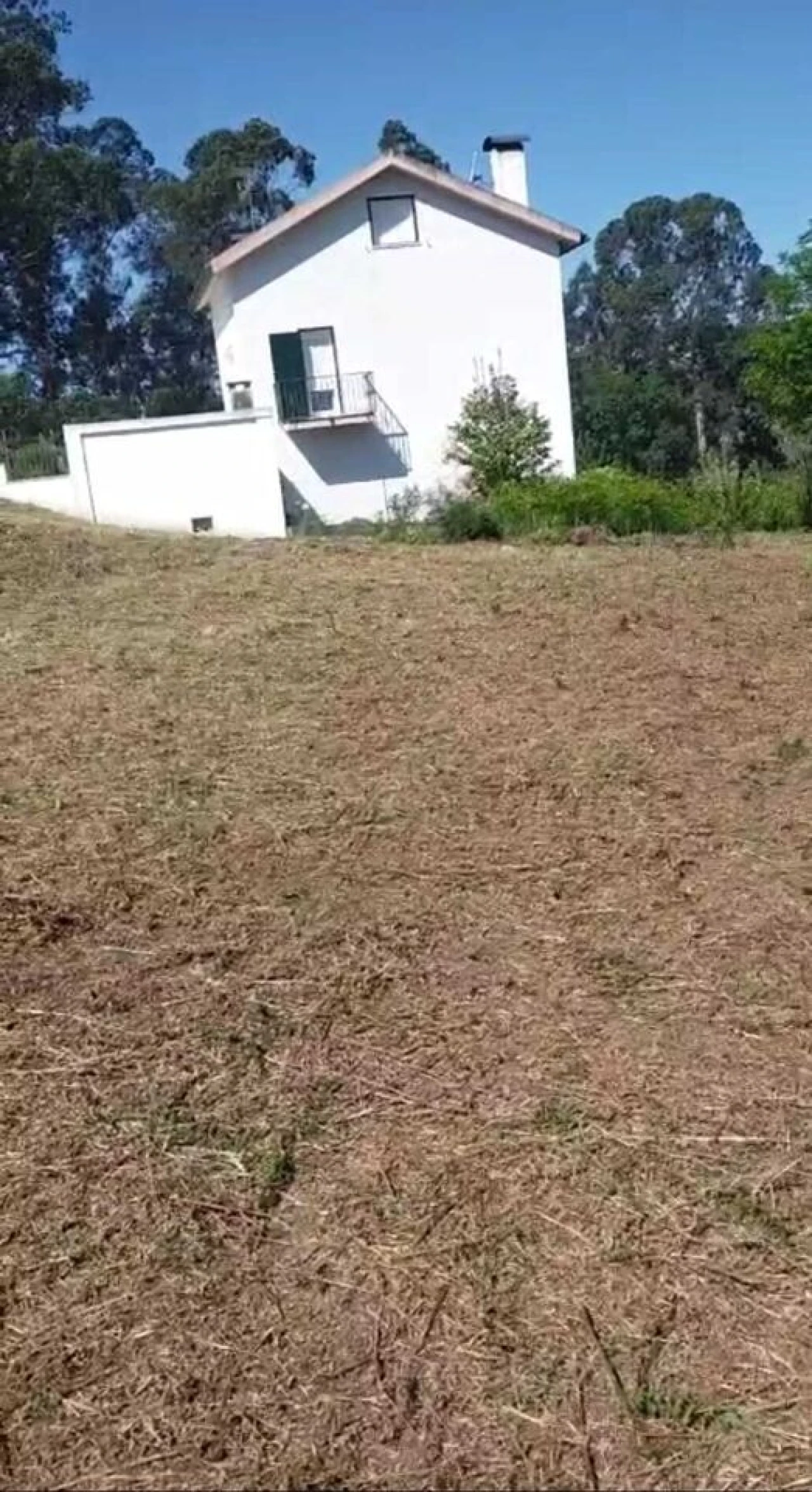 Terreno para Venda em Prado e Remoães Foto 5