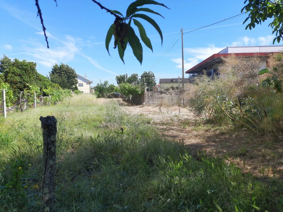 Moradia T3 para Venda em Mazedo e Cortes Foto 12