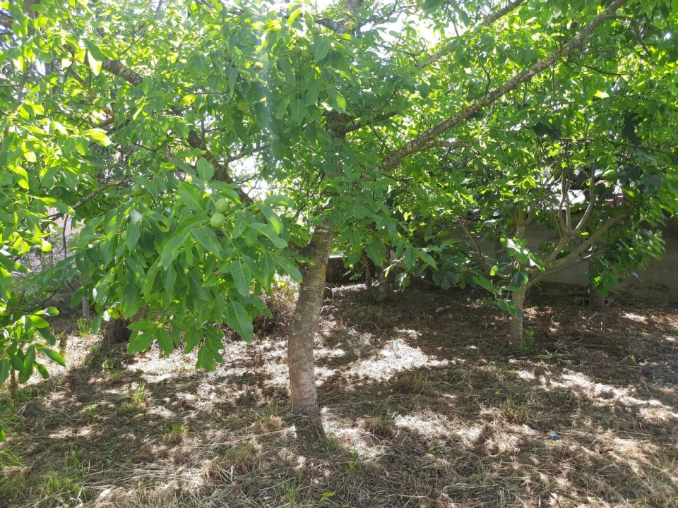 Moradia T3 para Venda em Mazedo e Cortes Foto 14