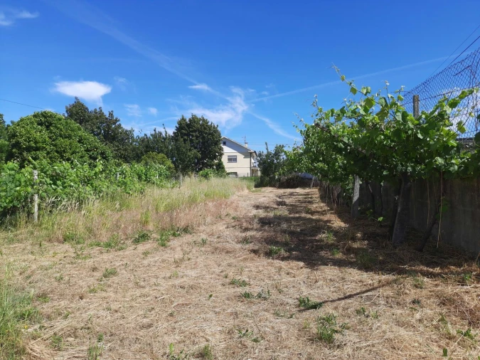 Moradia T3 para Venda em Mazedo e Cortes Foto 3