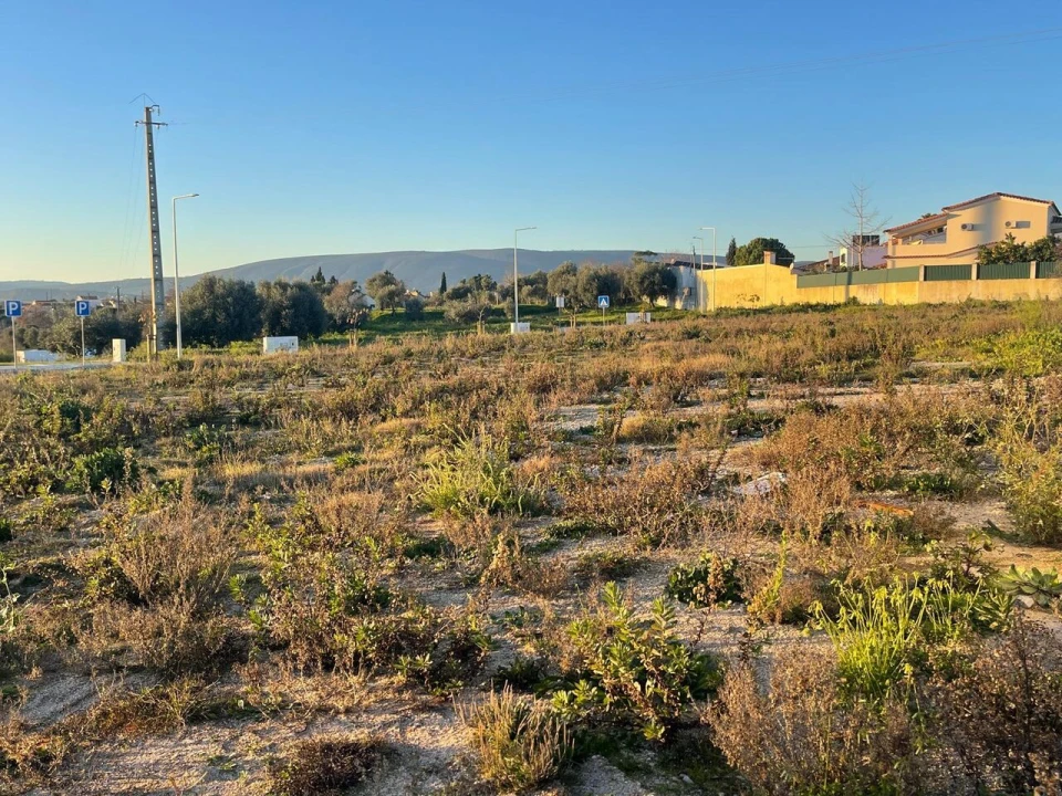 Terreno para Venda em Torres Novas (Santa Maria, Salvador e Santiago) Foto 7