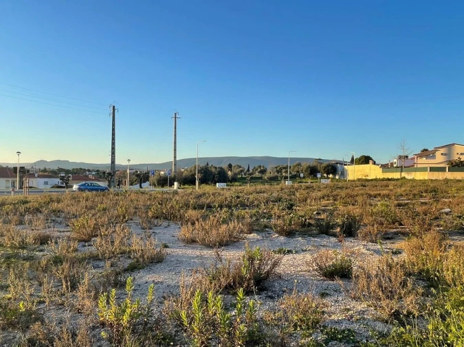 Terreno para Venda em Torres Novas (Santa Maria, Salvador e Santiago) Foto 6