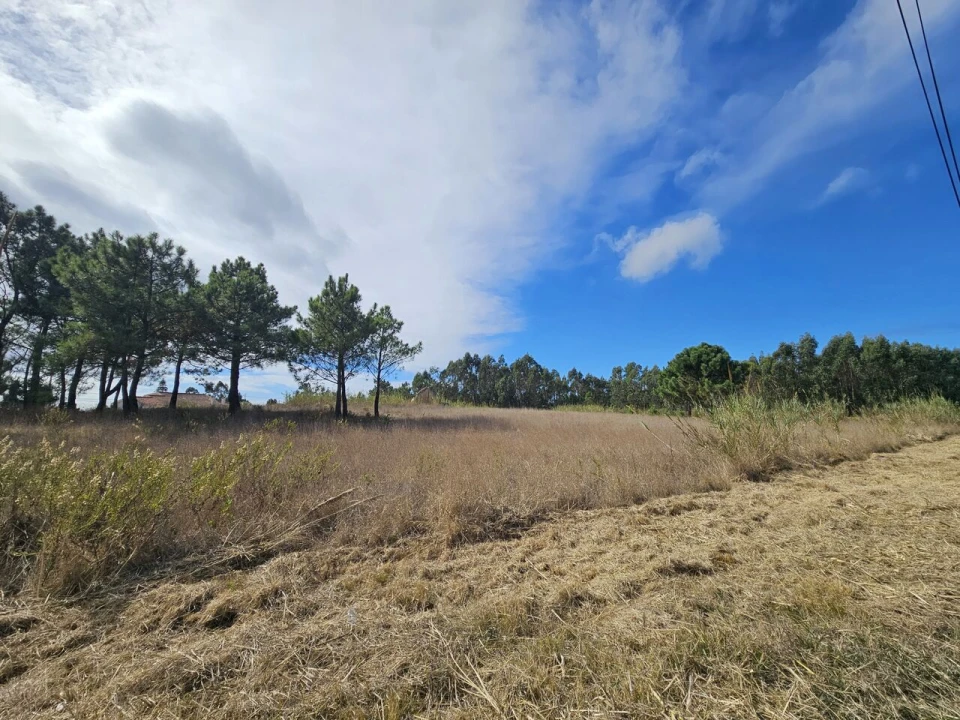 Terreno para Venda em A dos Cunhados e Maceira Foto 2