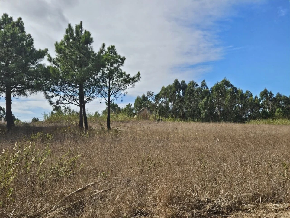Terreno para Venda em A dos Cunhados e Maceira Foto 3