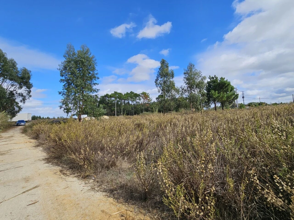 Terreno para Venda em A dos Cunhados e Maceira Foto 5
