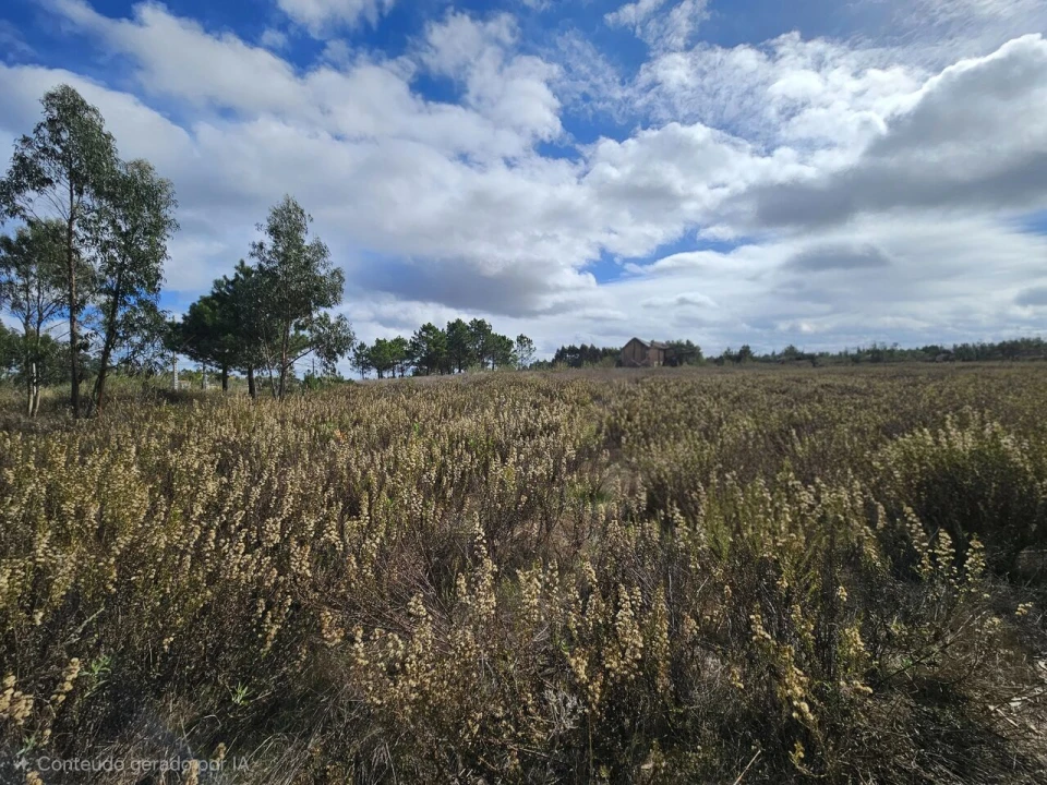 Terreno para Venda em A dos Cunhados e Maceira Foto 9