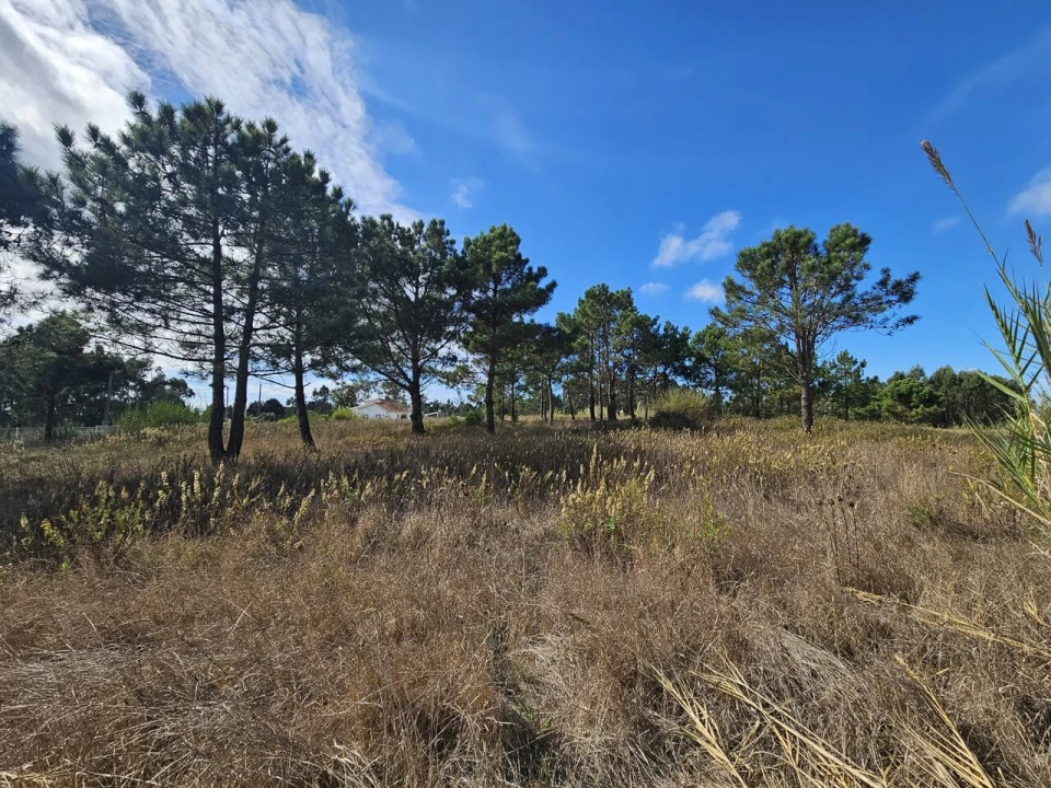 Terreno para Venda em A dos Cunhados e Maceira Foto 10