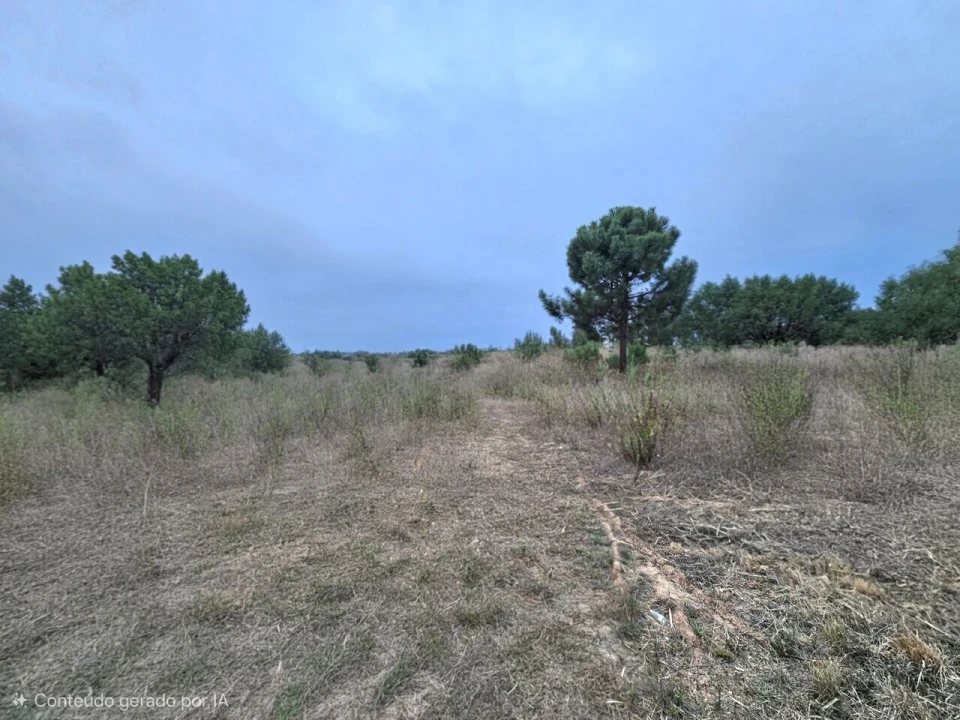 Terreno para Venda em A dos Cunhados e Maceira Foto 15