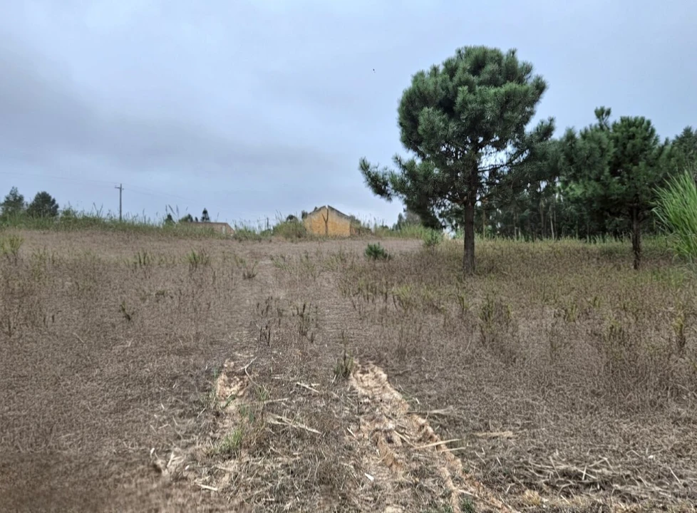 Terreno para Venda em A dos Cunhados e Maceira Foto 16