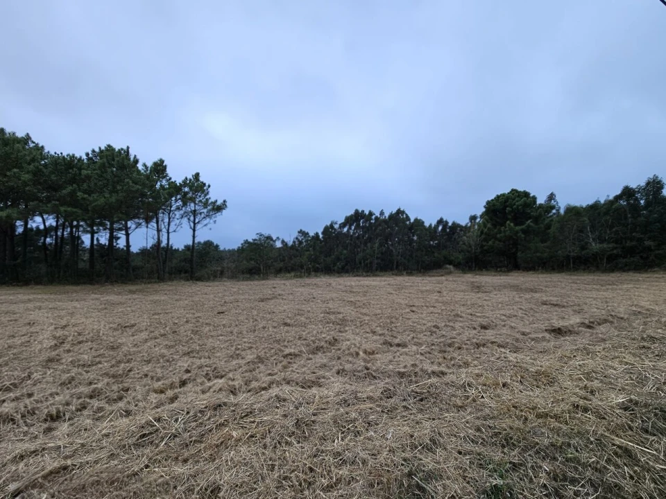 Terreno para Venda em A dos Cunhados e Maceira Foto 18