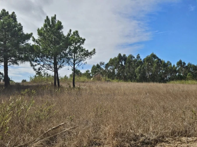 Terreno para Venda em A dos Cunhados e Maceira Foto 3