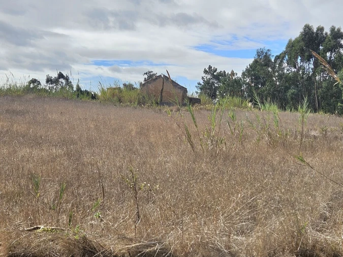 Terreno para Venda em A dos Cunhados e Maceira Foto 4