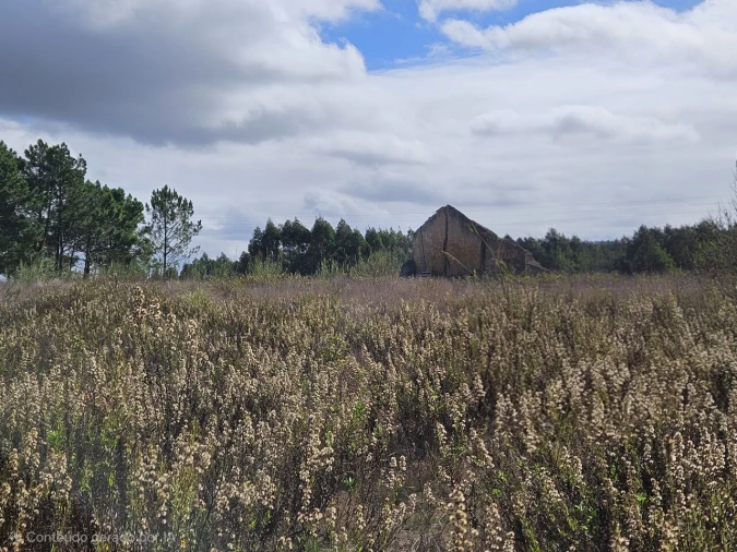 Terreno para Venda em A dos Cunhados e Maceira Foto 7