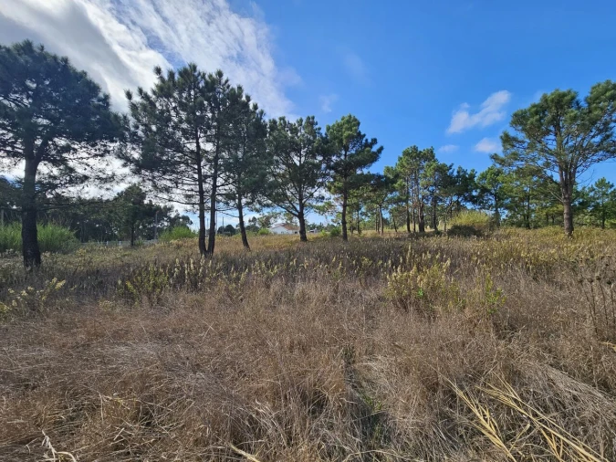 Terreno para Venda em A dos Cunhados e Maceira Foto 8